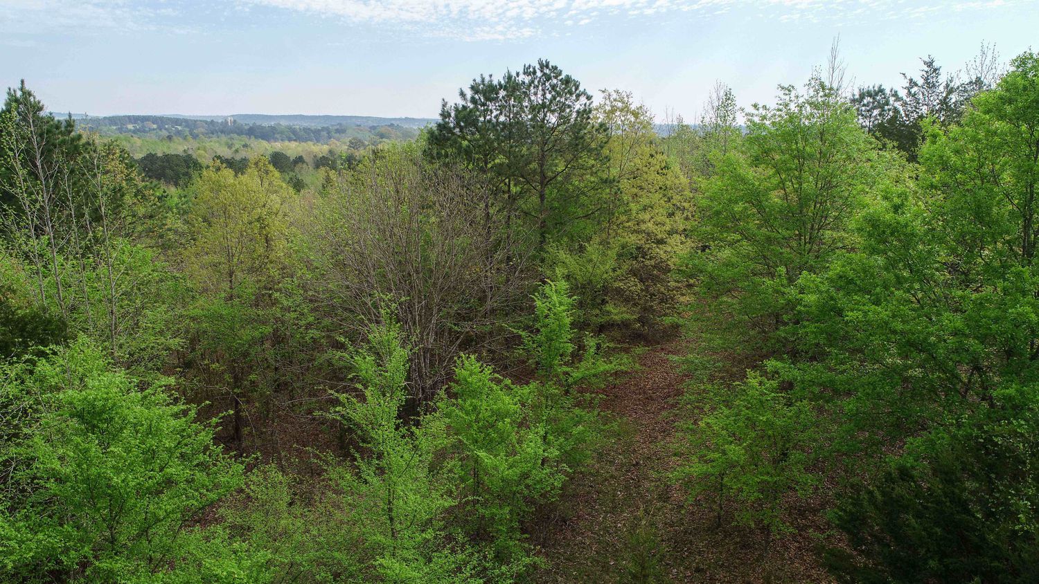 Farris 115 Timber: 00 CR 2215, Daingerfield, TX 75638